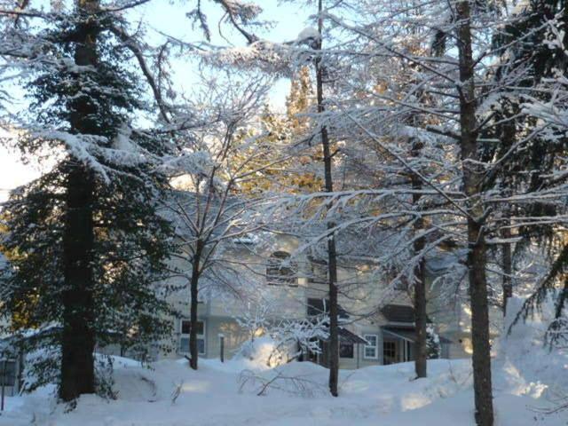 Hakuba Royal Suites Exterior foto